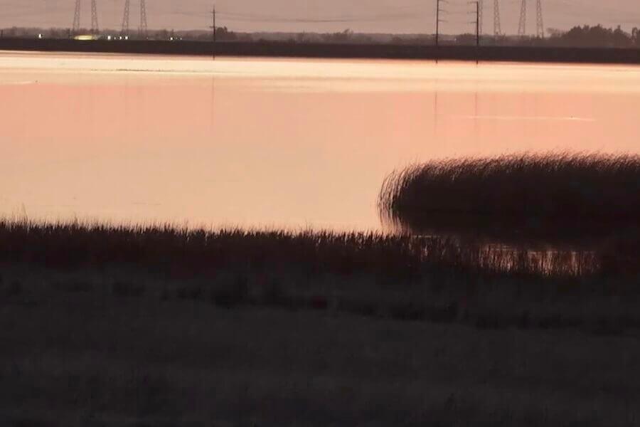 experience_image_22